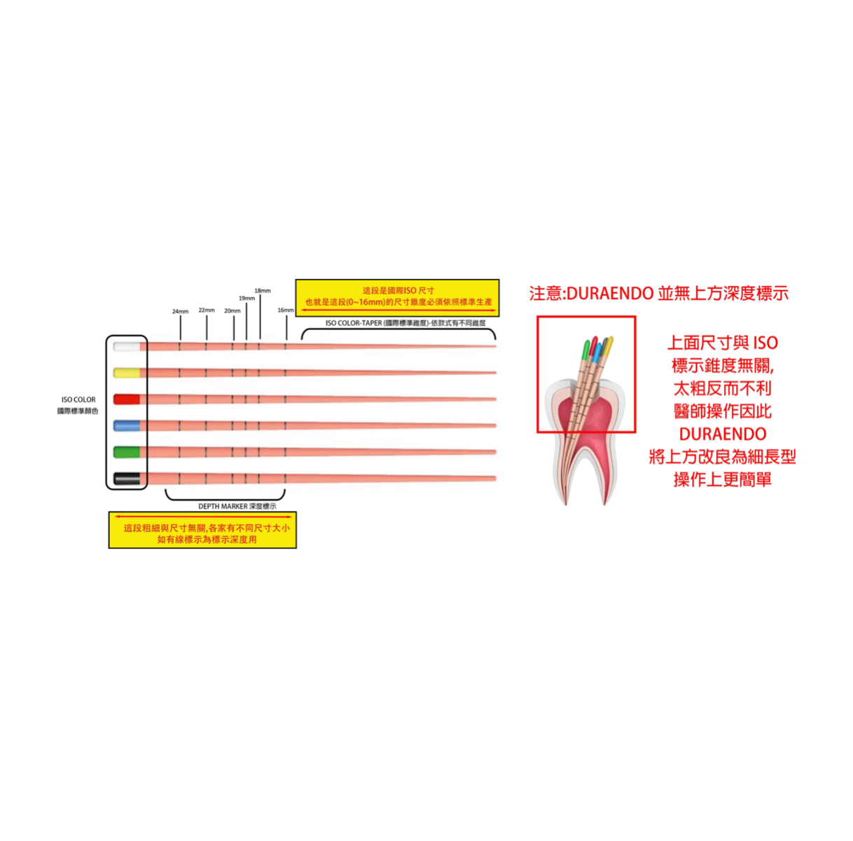 GP/PP for Reciproc 馬來膠(未滅菌)